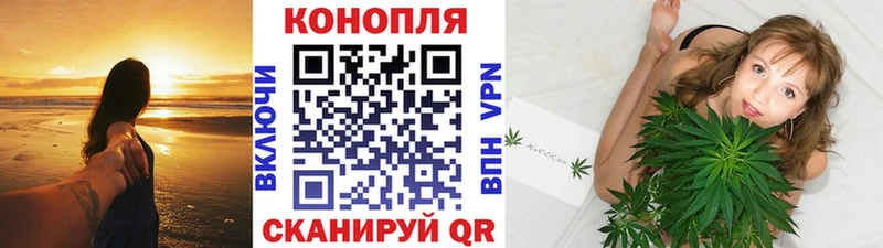 Шишки марихуана конопля  Козельск 